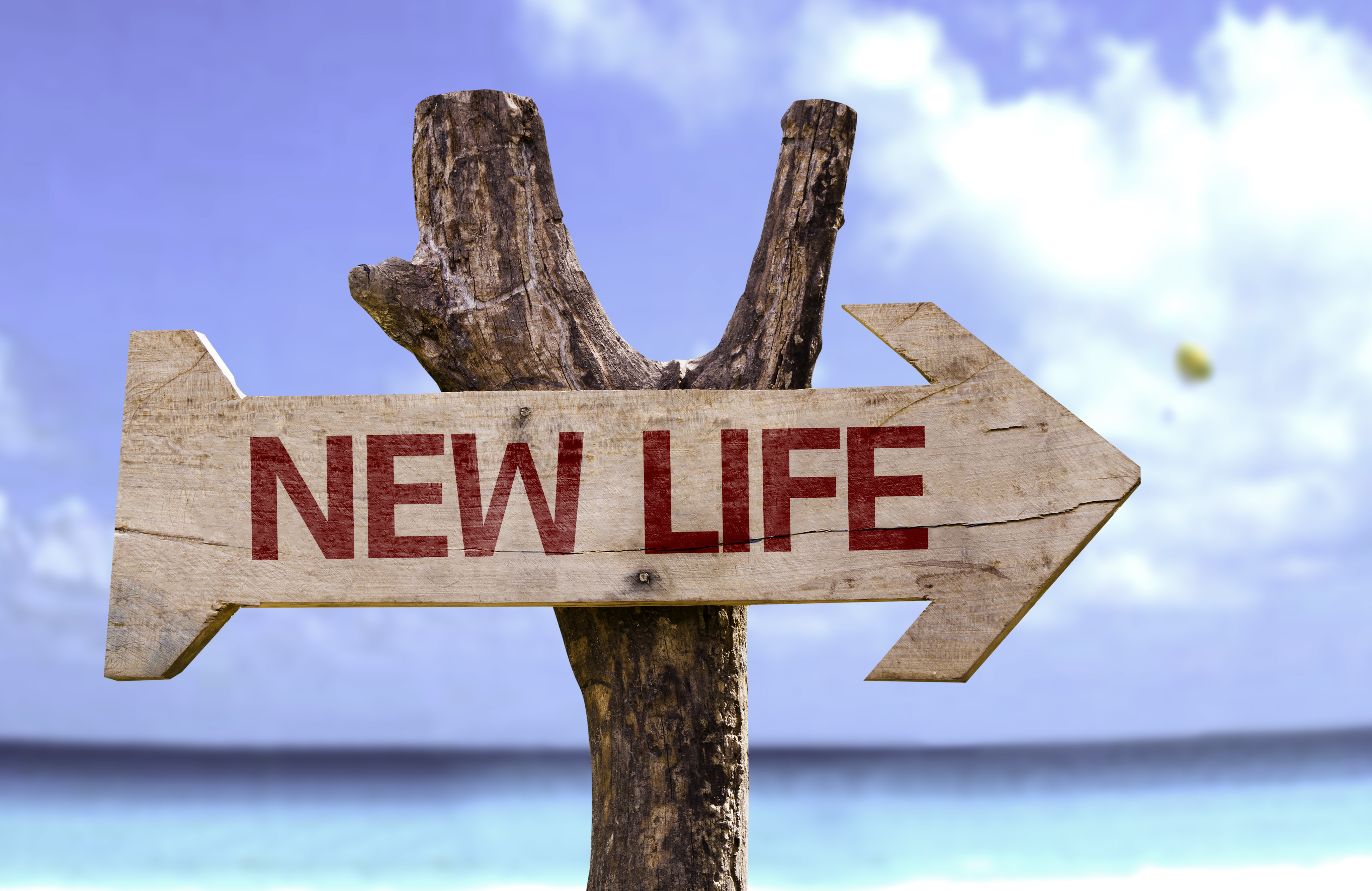 New Life wooden sign with a beach on background