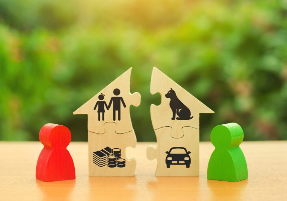 Wooden figures and puzzle houses